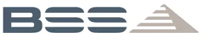 BSS Holland logo